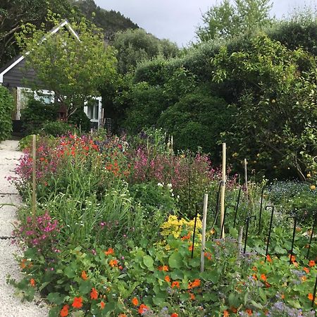 Hahei Kereru Cottage Zewnętrze zdjęcie