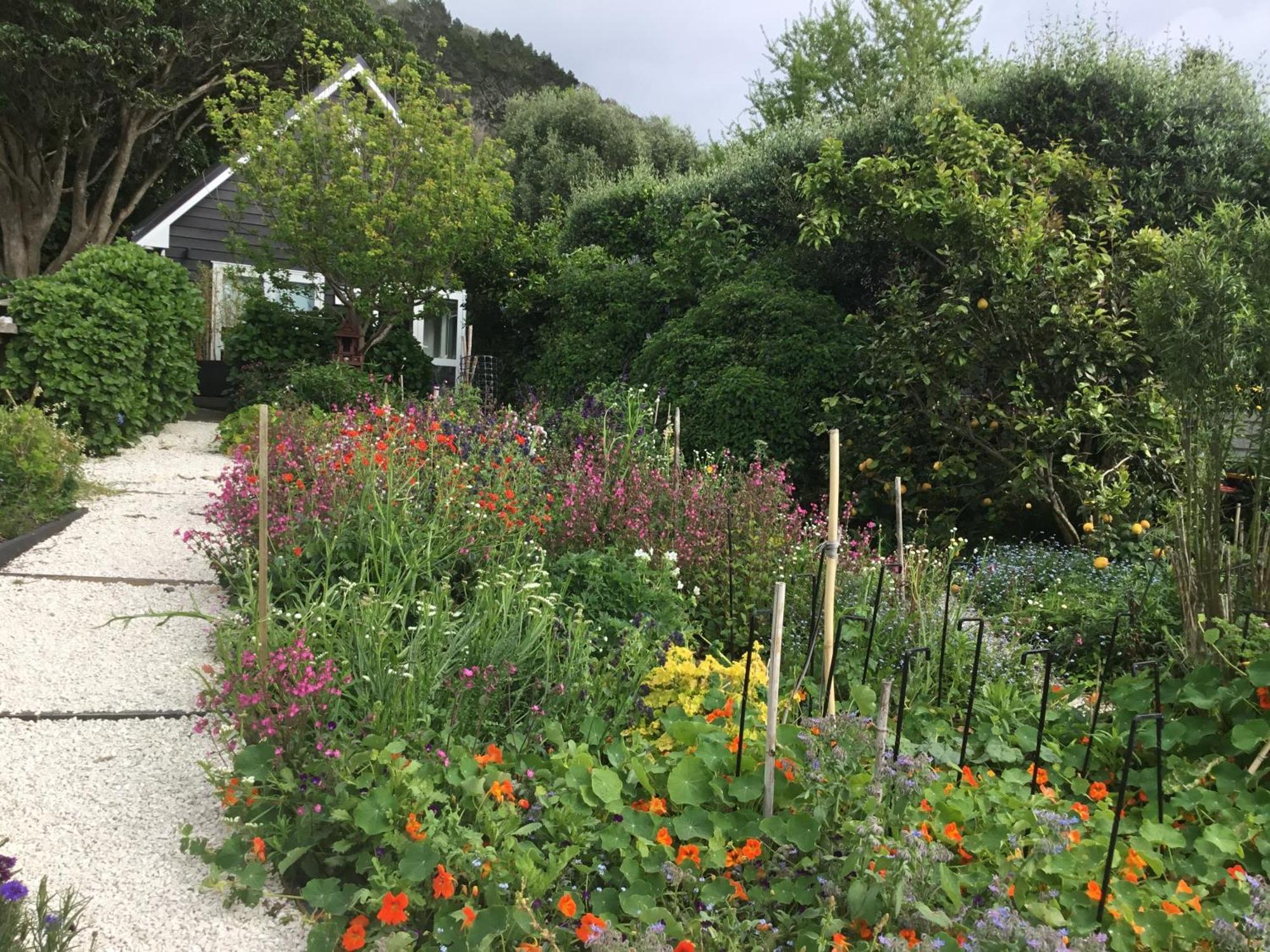Hahei Kereru Cottage Zewnętrze zdjęcie
